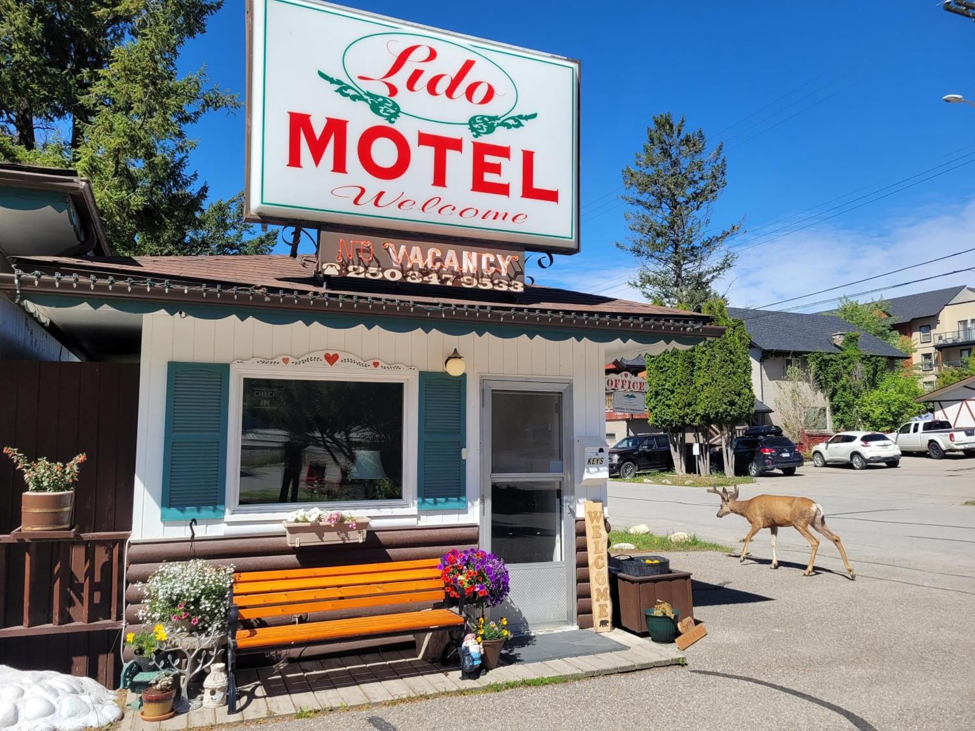 Lido Motel Radium Hot Springs Exterior foto